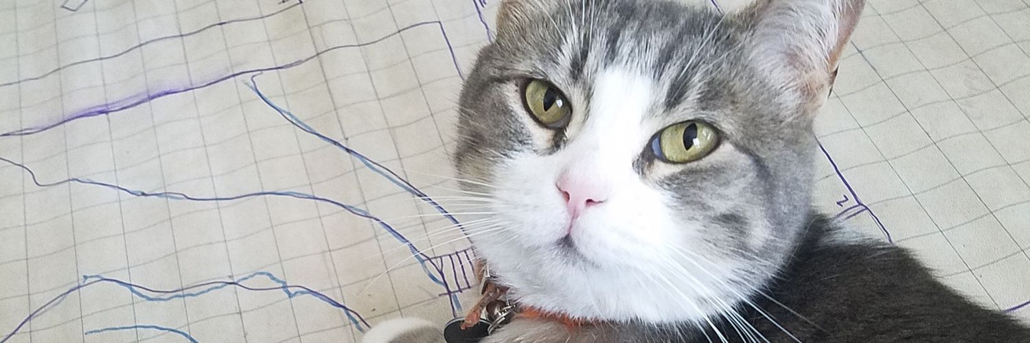 Peter (Inclusion Director, Autistic DM, M.Ed.) banner