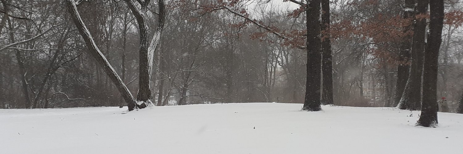 Dan Hatmandas banner