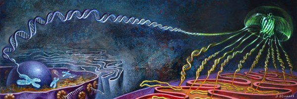 EnklerLudovic Profile Banner