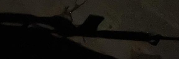 Bullah26's profile banner image