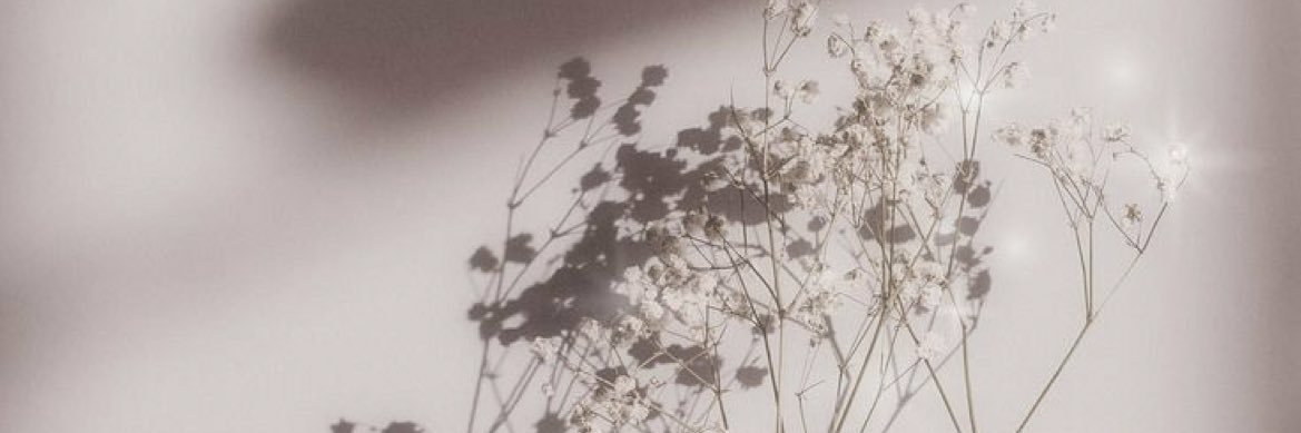 ErinMacx's profile banner image