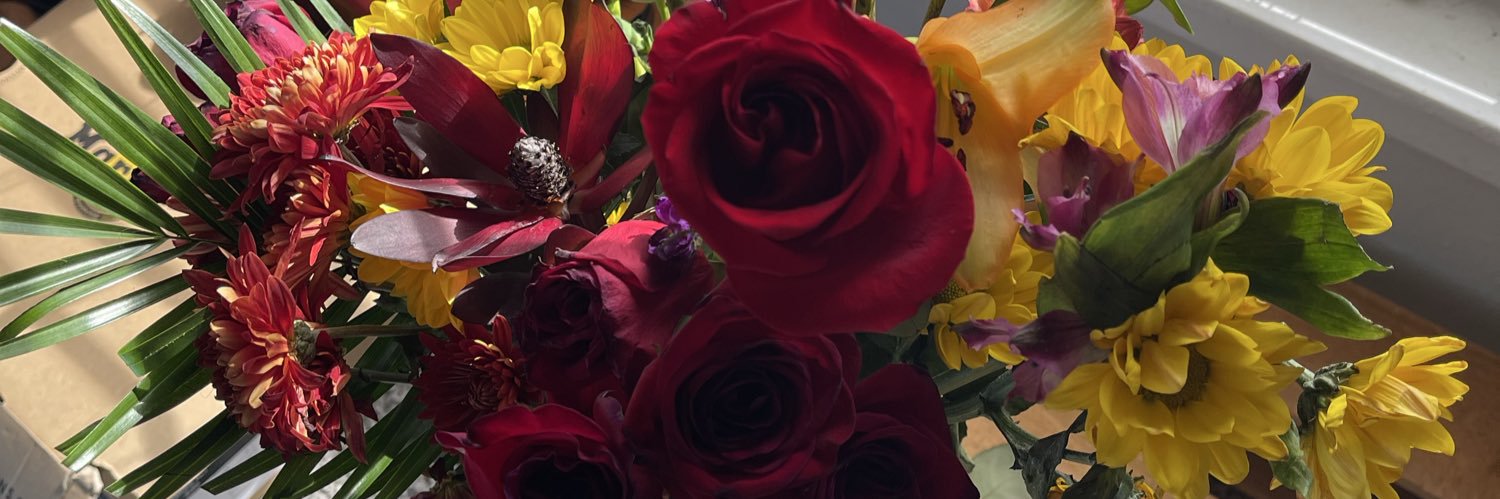 enidnum's profile banner image