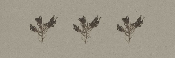 SEABREATHER_ Profile Banner