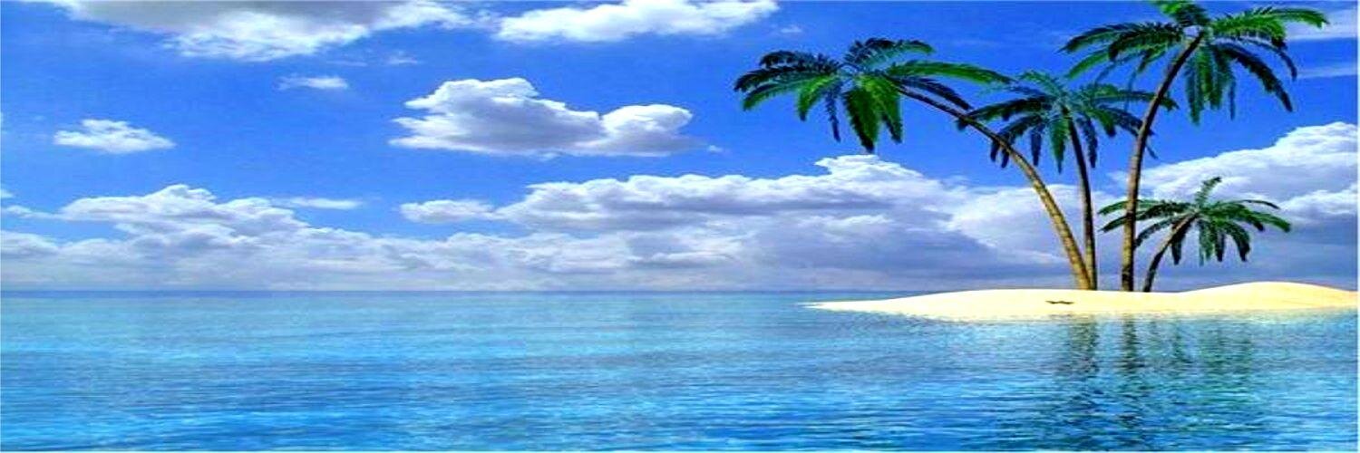Marianne Schwab banner
