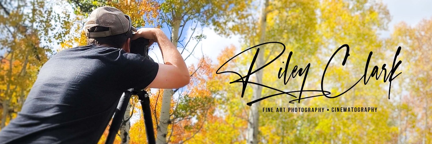 Riley Clark Fine Art banner