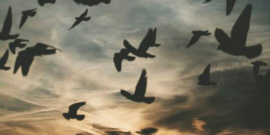 ValentinaSwagJB's profile banner image