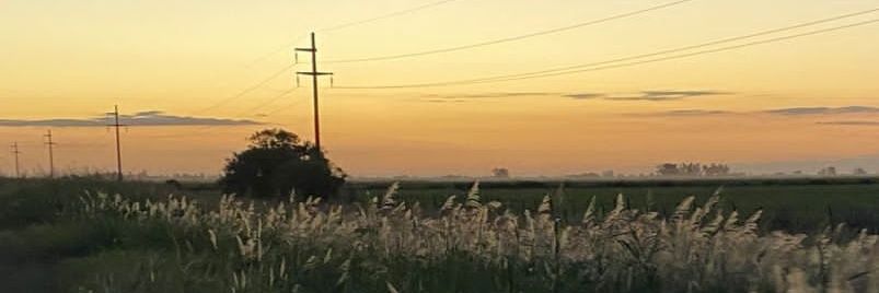 flordmierda's profile banner image