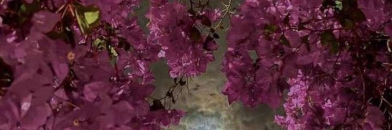 s14mj_'s profile banner image