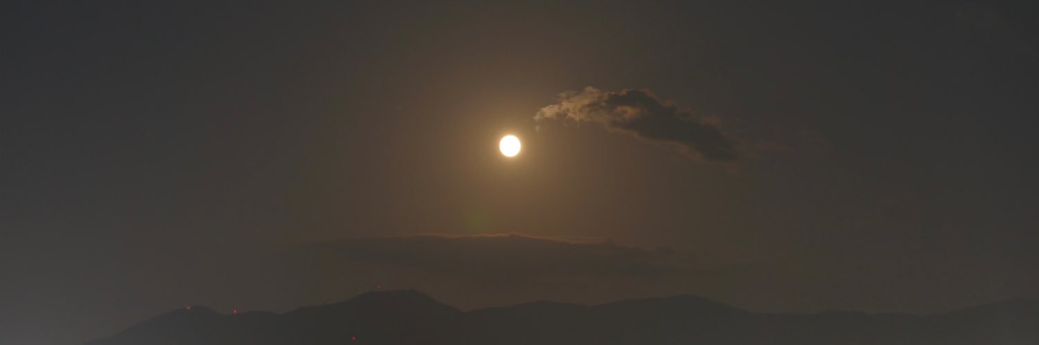 くま ·ᴥ· banner