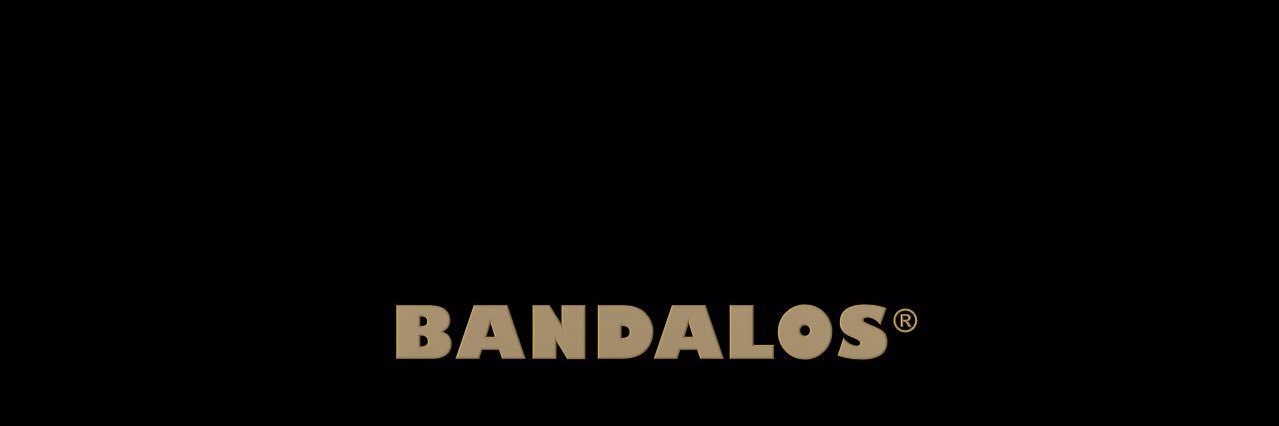 𝗕𝗔𝗡𝗗𝗔𝗟𝗢𝗦's banner
