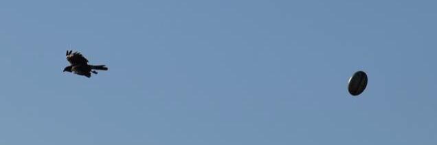FICHA1402's profile banner image