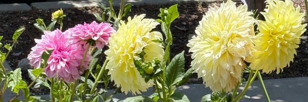 Samsmomtwo Profile Banner