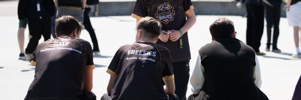 FreesiesCS Profile Banner