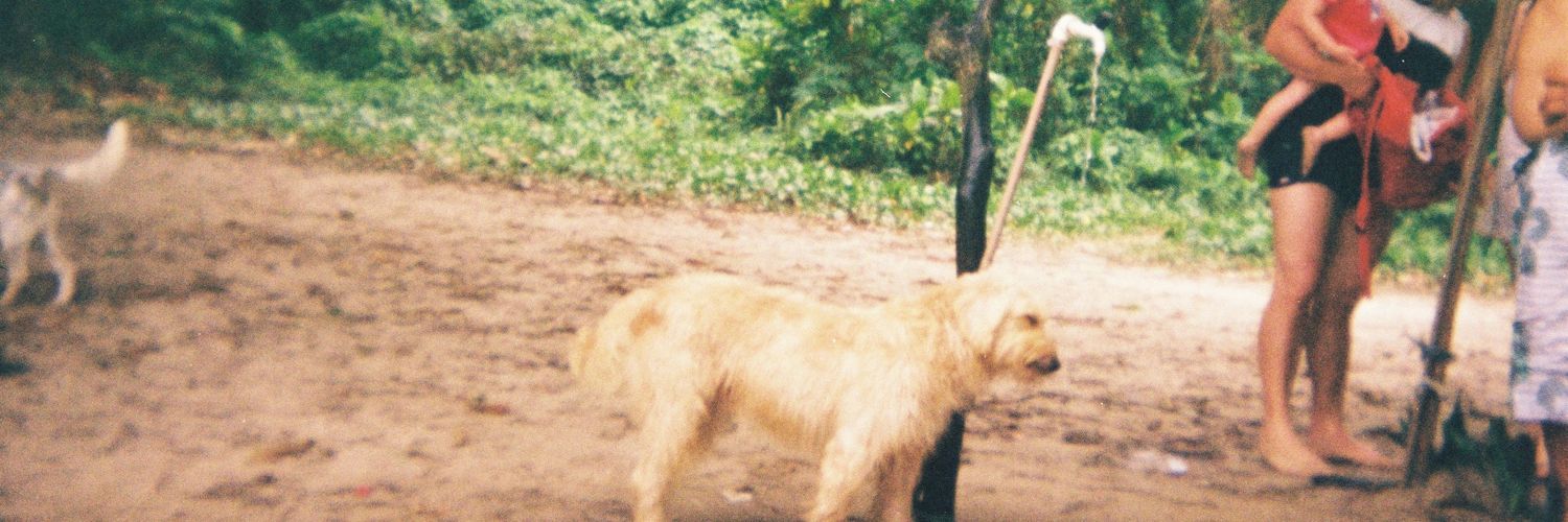 cleitincasborba's profile banner image