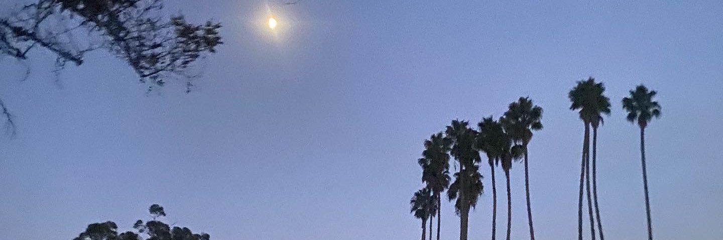 lilbuzzbeez's profile banner image