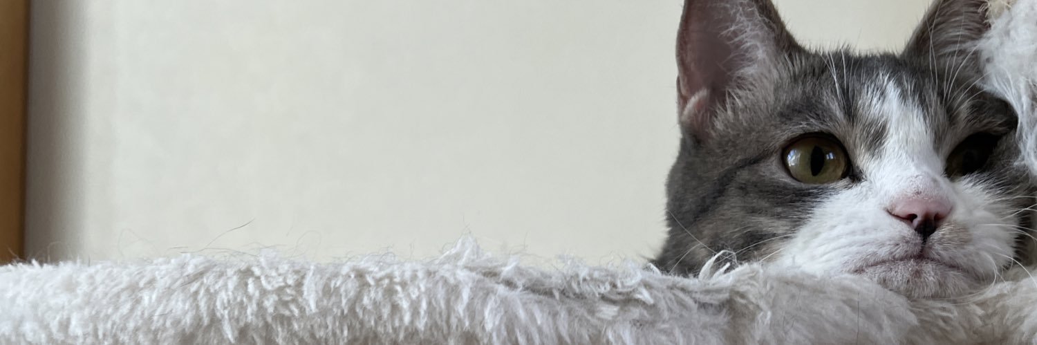 紺子@原稿中's banner