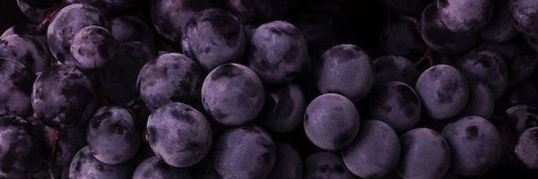 thomas_pior Profile Banner