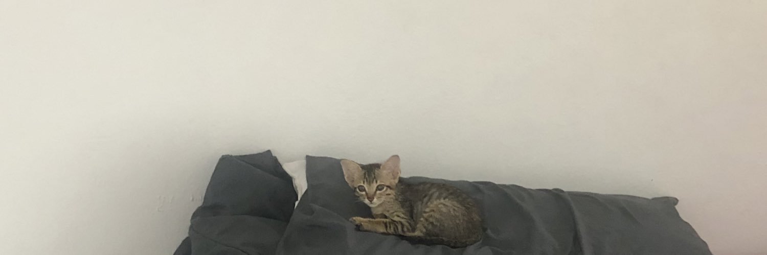 da_nxn's profile banner image