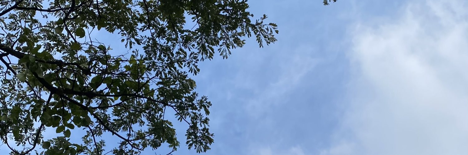 HenryyLoo's profile banner image
