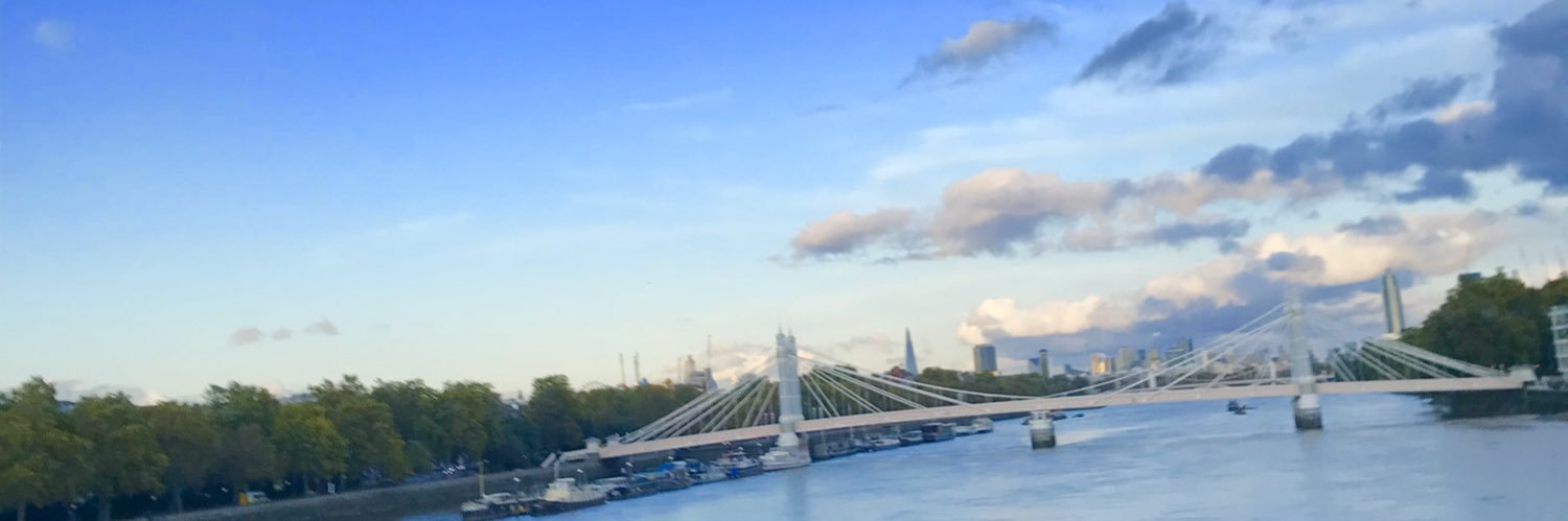 Patricia Hedelius banner