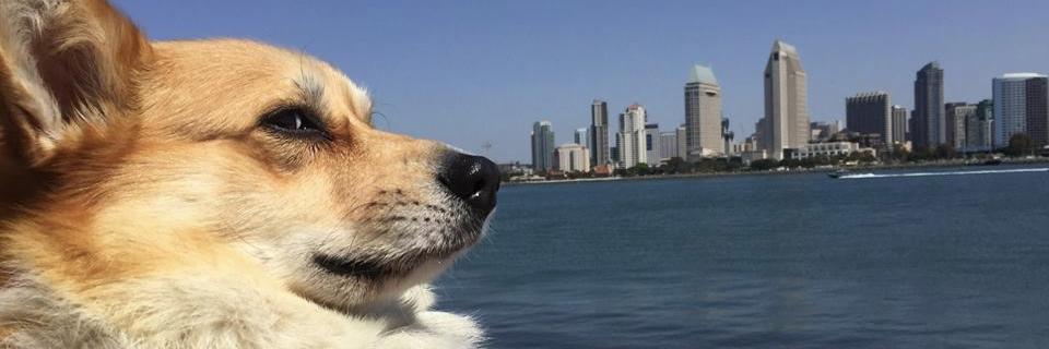 becmur's profile banner image
