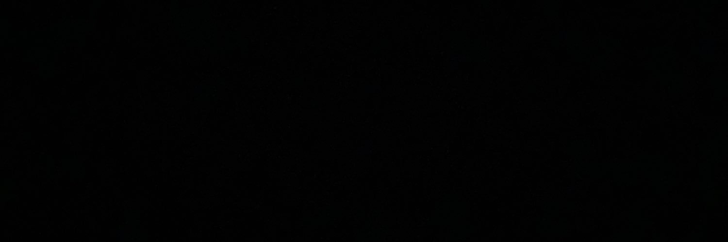 CrypticVick banner