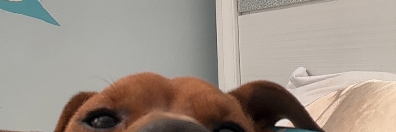 FrankyTrejo's profile banner image