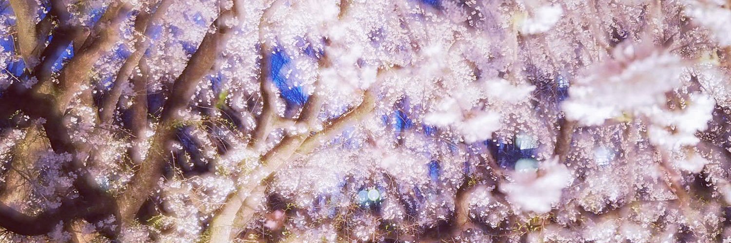 kadonosaka's profile banner image