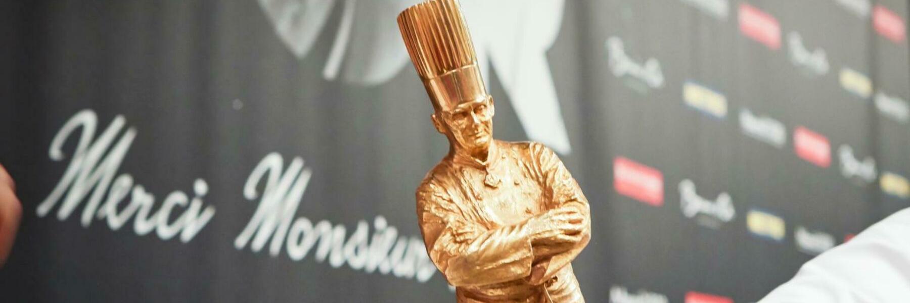 Bocusedoraus's profile banner image