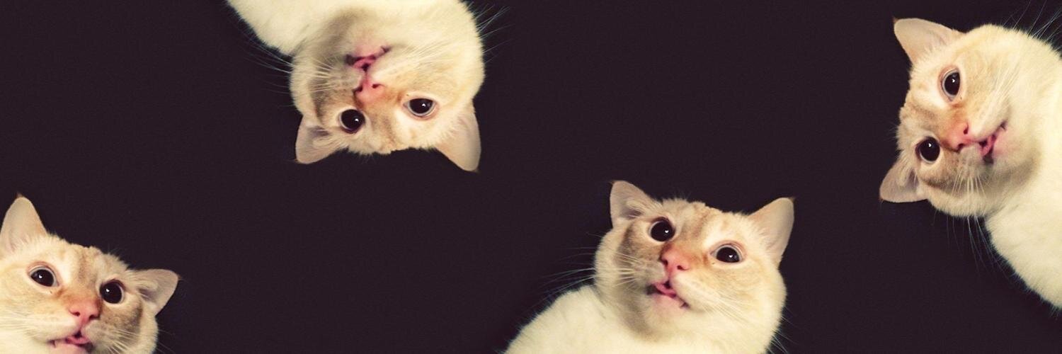 Donald Sayers banner