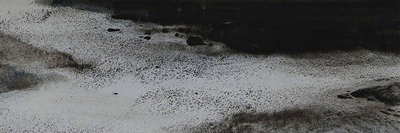 vanchiang's profile banner image