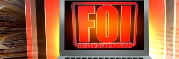 alisonsandy Profile Banner