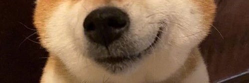 Jerry971100's profile banner image