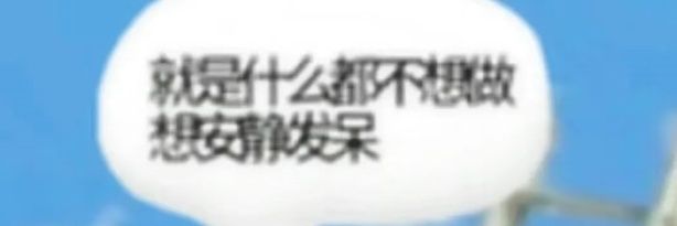 ChickiQiami's profile banner image