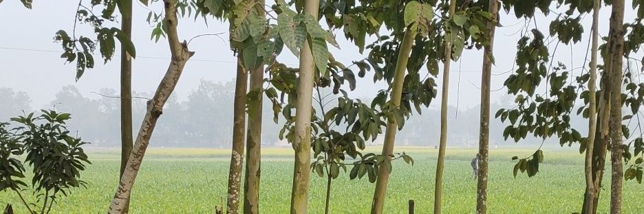 Md Sobuj banner
