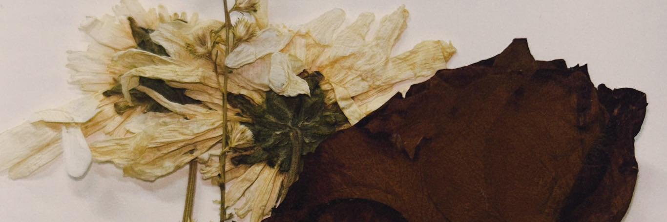 MKCazandra's profile banner image