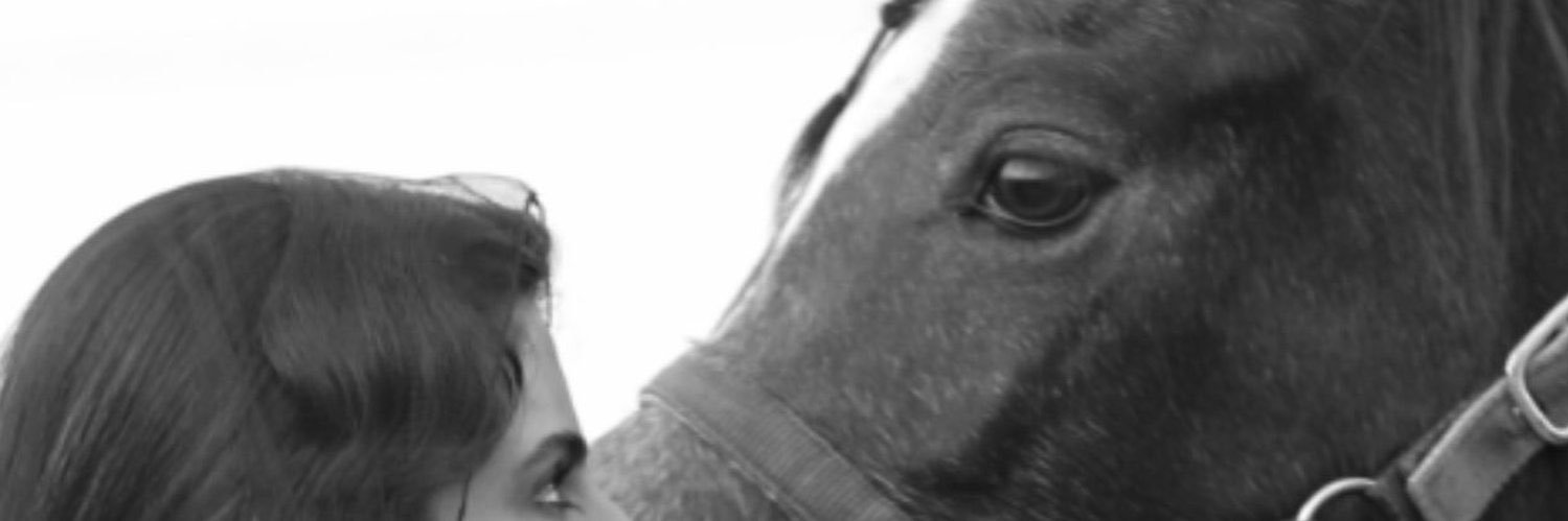 QAlsed's profile banner image