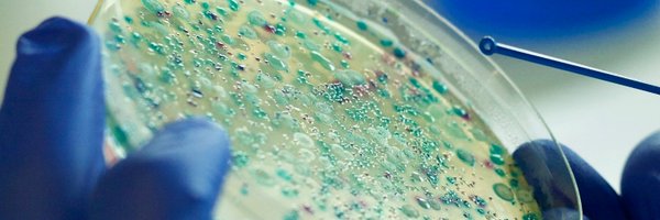 _fowlerlab_ Profile Banner