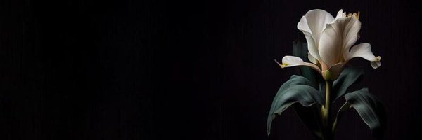 _shuzuka Profile Banner