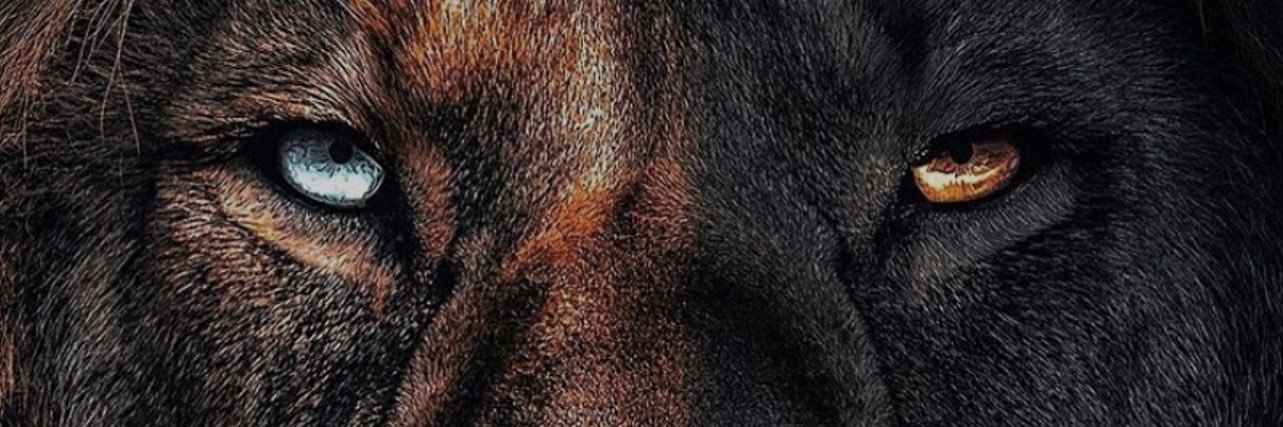 mr54Tn's profile banner image