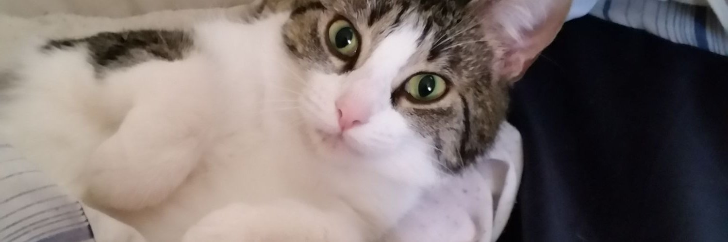 Donoram's profile banner image