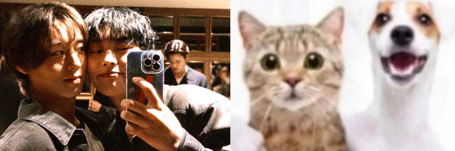 🐈's banner