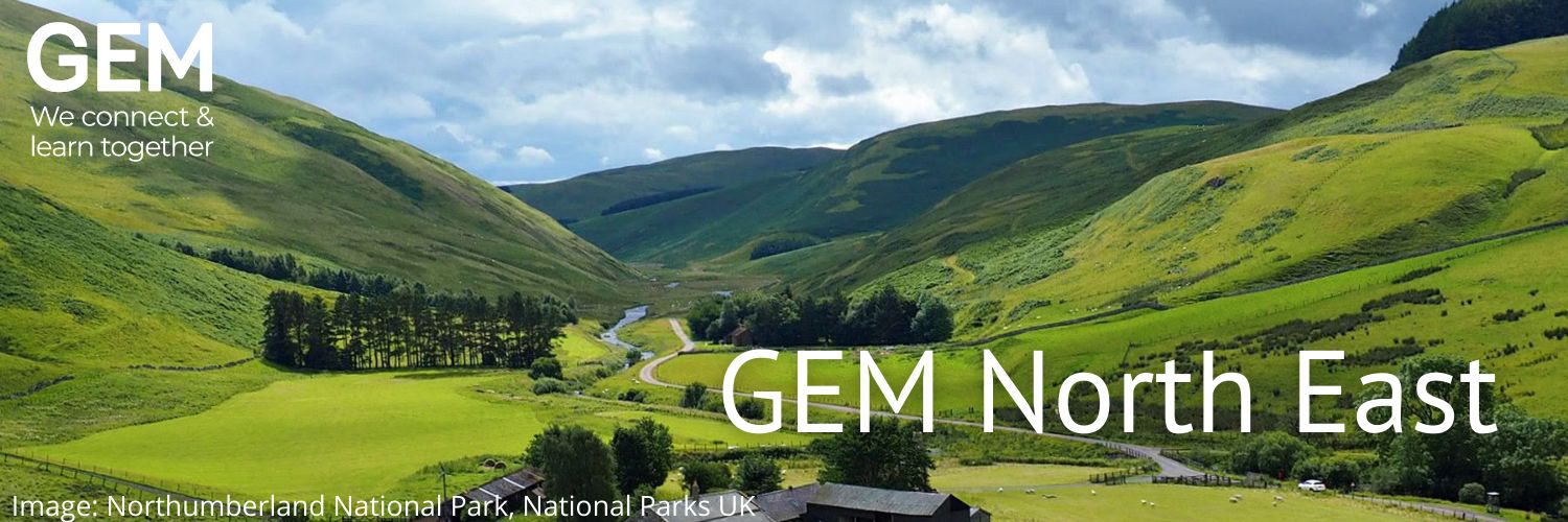GEM North East banner
