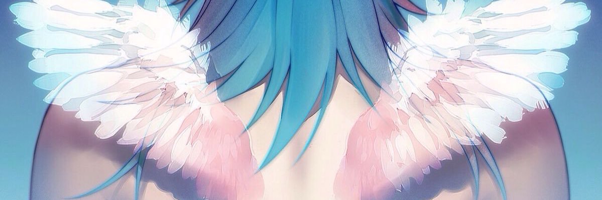 nya banner