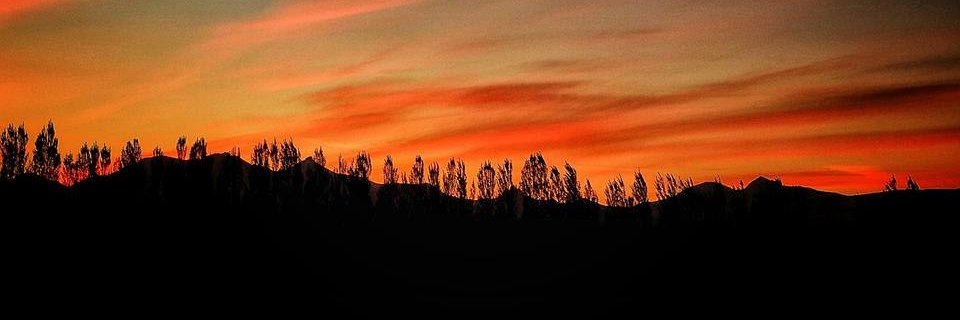pppppalomap's profile banner image