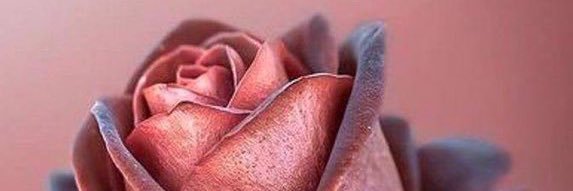 AlshekhNaser's profile banner image