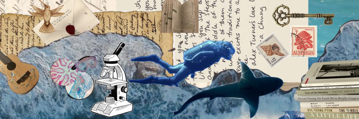 sabrinaeomundo's profile banner image
