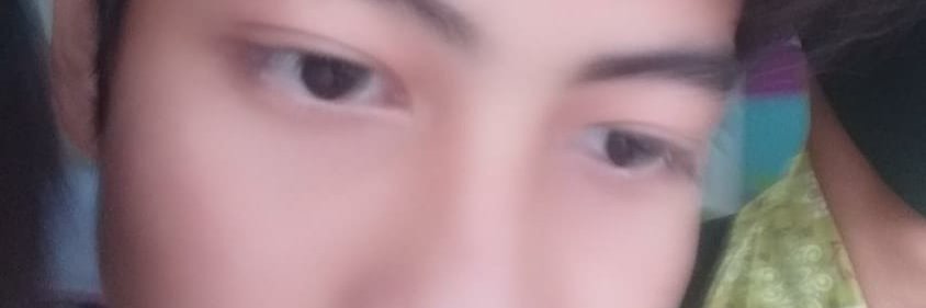 Orang bijak bayar pajak banner
