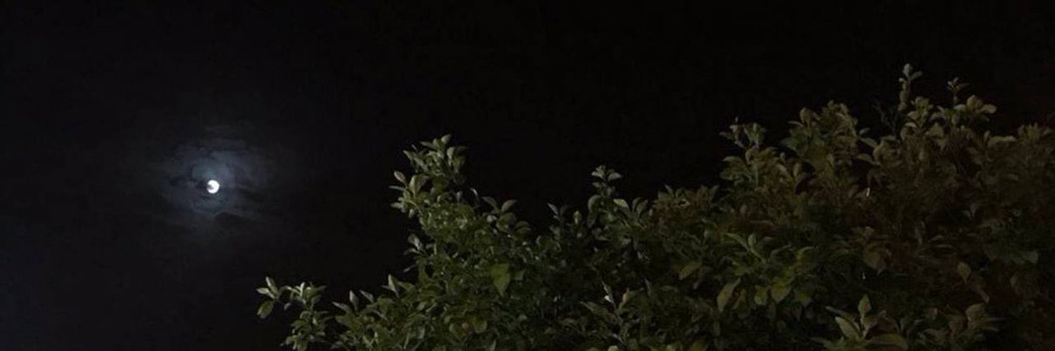 MSani_Taib's profile banner image