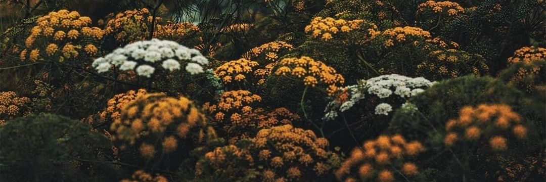 tibitibti's profile banner image